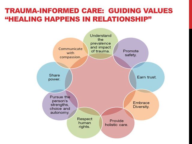trauma-impact-values